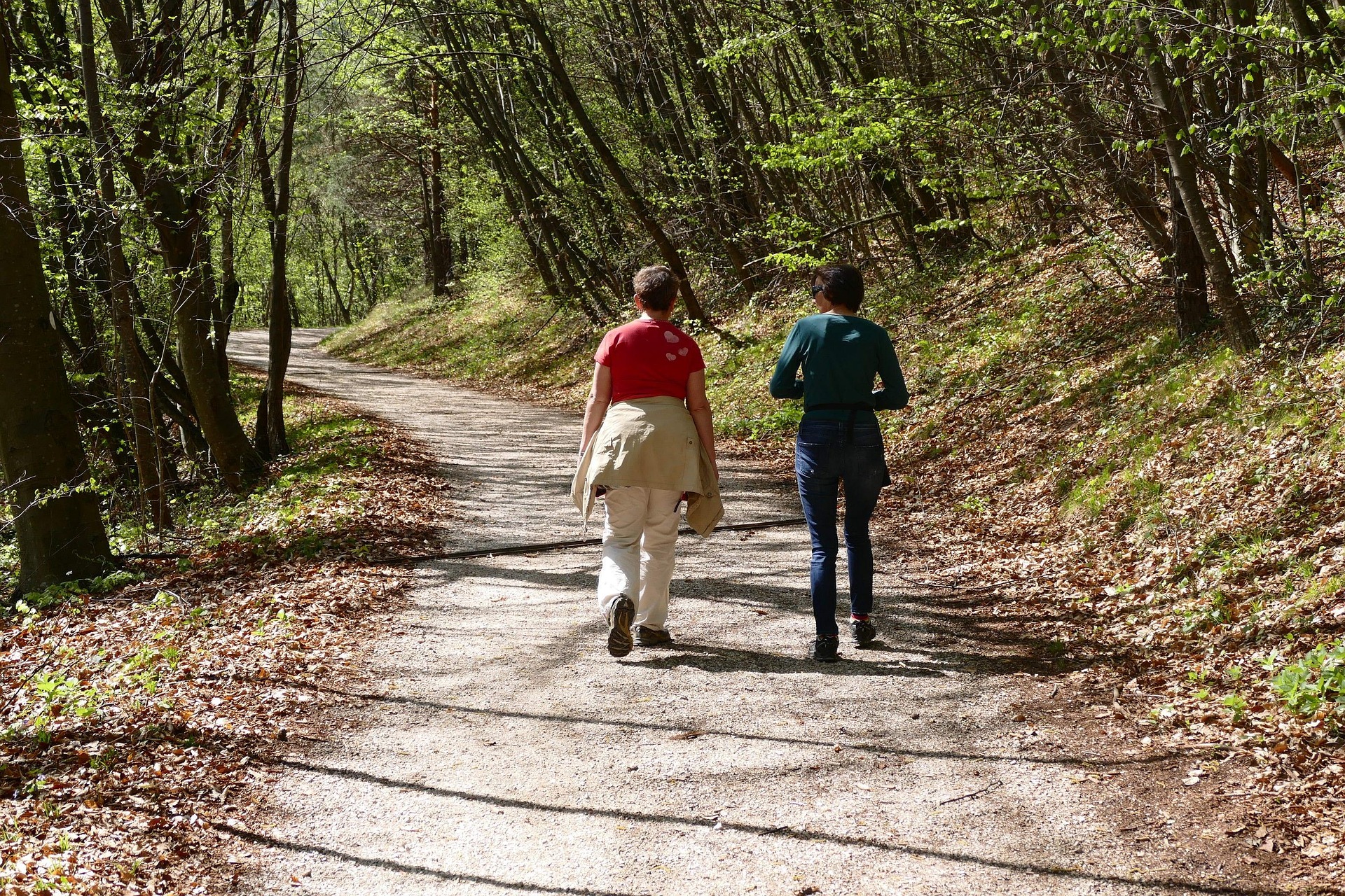 Wandergruppe auf einem Weg