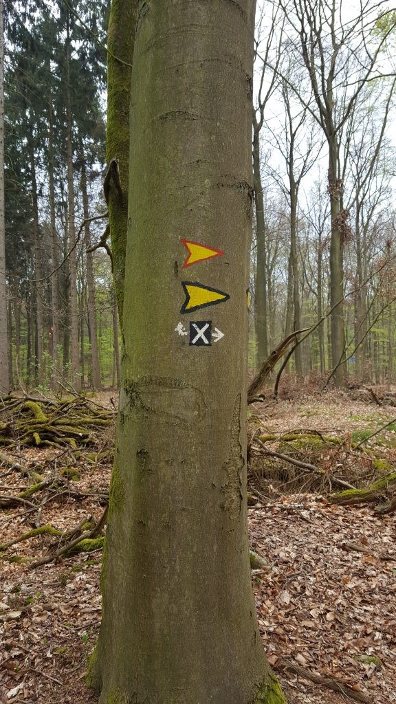 Wegemarkierung an einem Baum